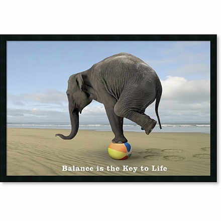 Live a Balanced Life